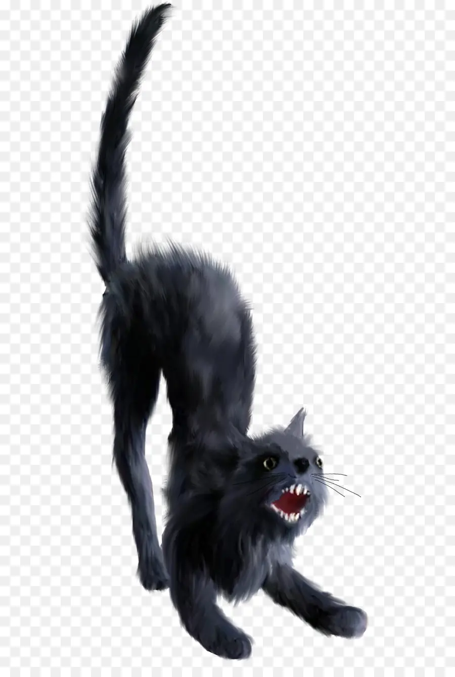 Gato Negro，Felino PNG