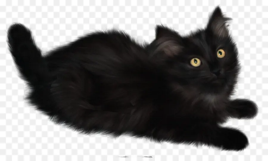 Gato，Gatito PNG