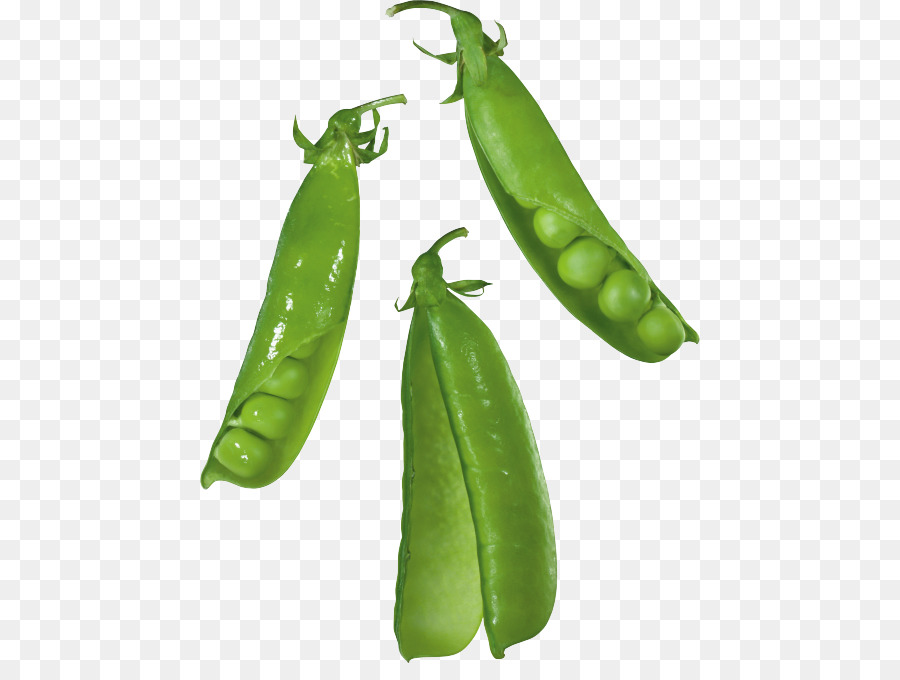 Guisantes，Pea PNG