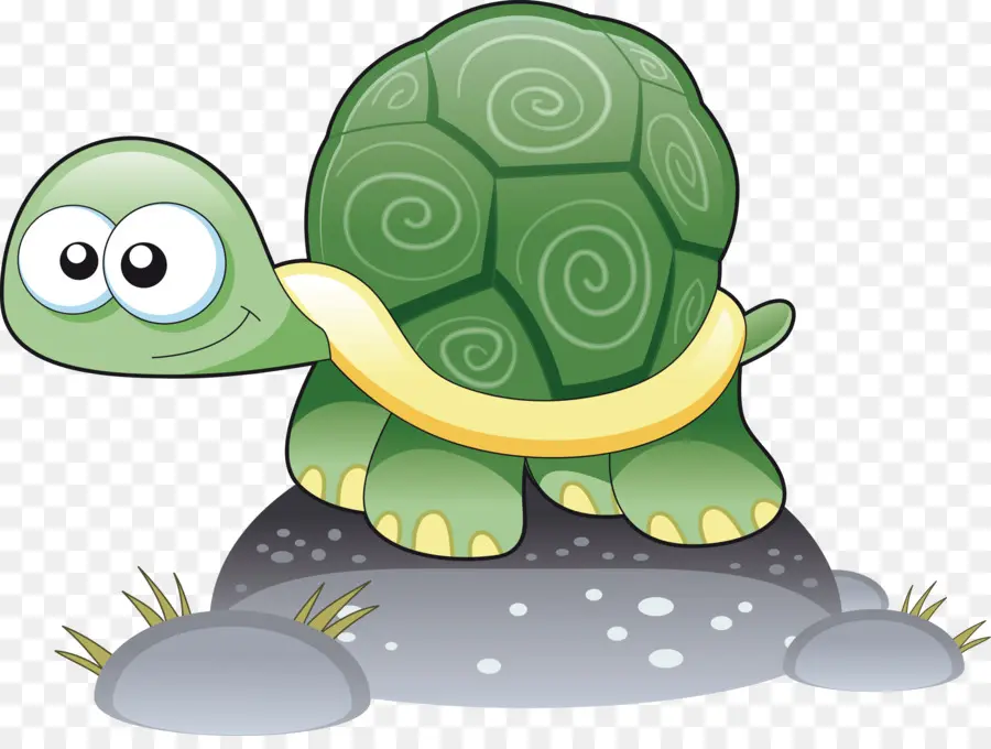 Tortuga，De Dibujos Animados PNG