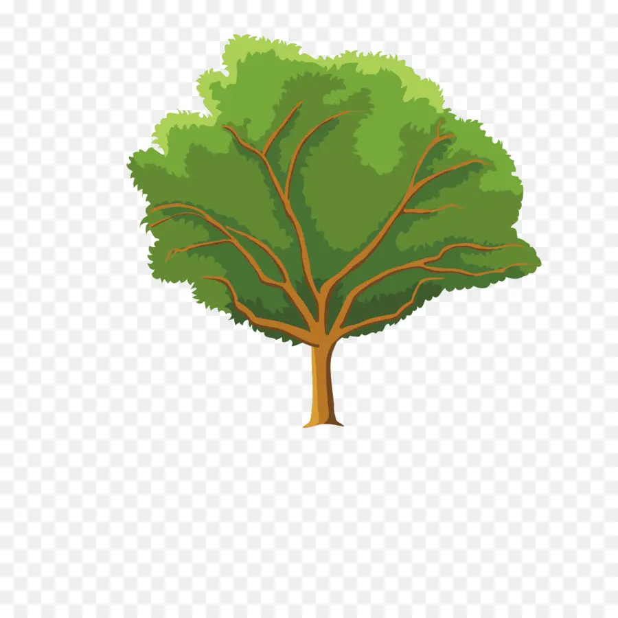 Temporada，árbol PNG