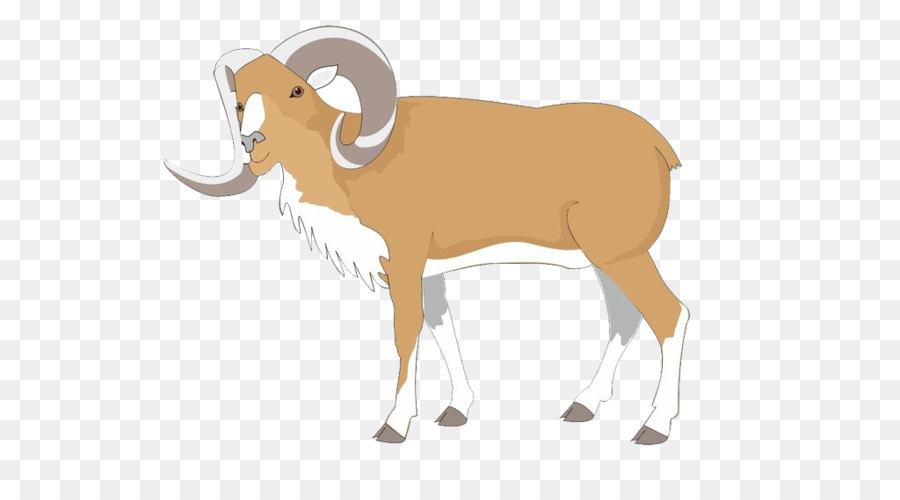 Ram，Oveja PNG