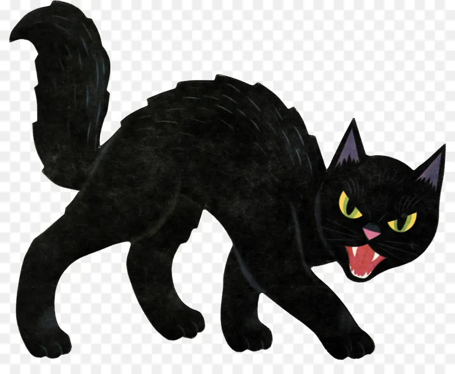 Gato，Halloween PNG