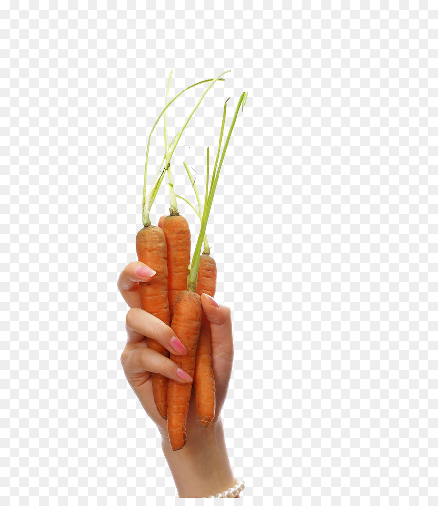 Zanahorias En La Mano，Naranja PNG