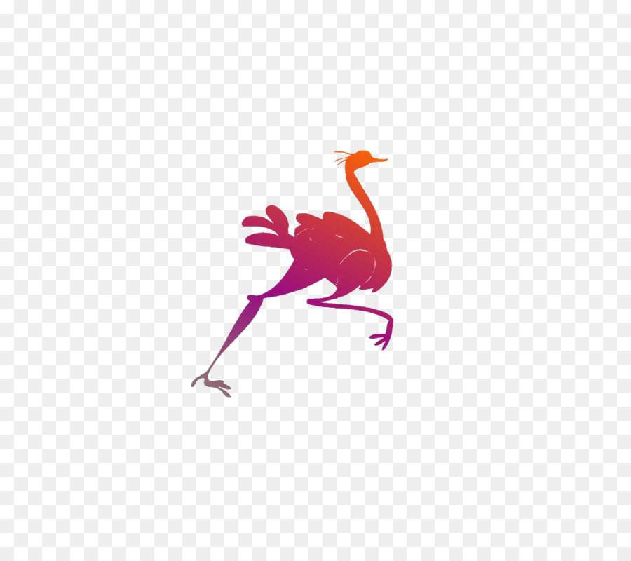 Pájaro Corriendo，Correr PNG