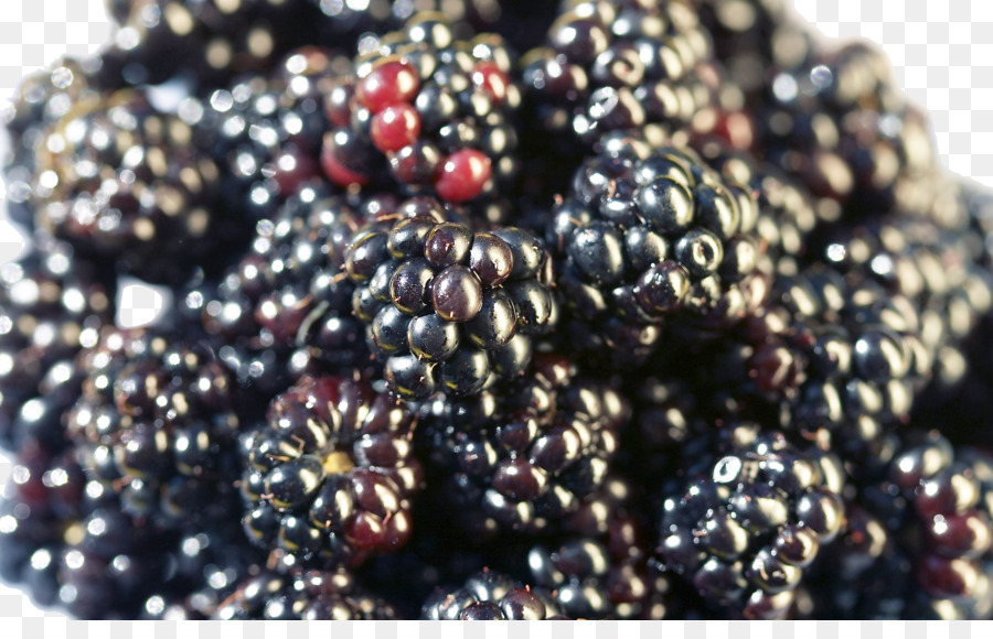 Moras，Negro PNG