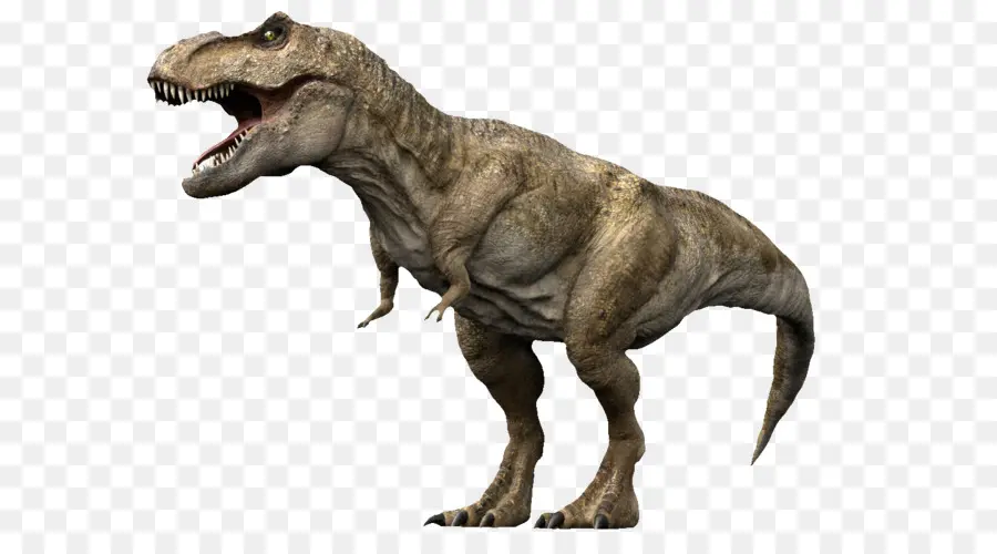 Combate De Gigantes Dinosaurios 3d，Tyrannosaurus PNG