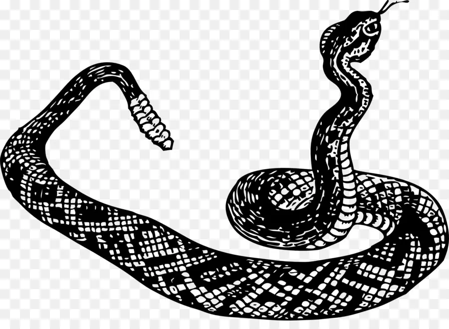La Serpiente，El Maíz De La Serpiente PNG