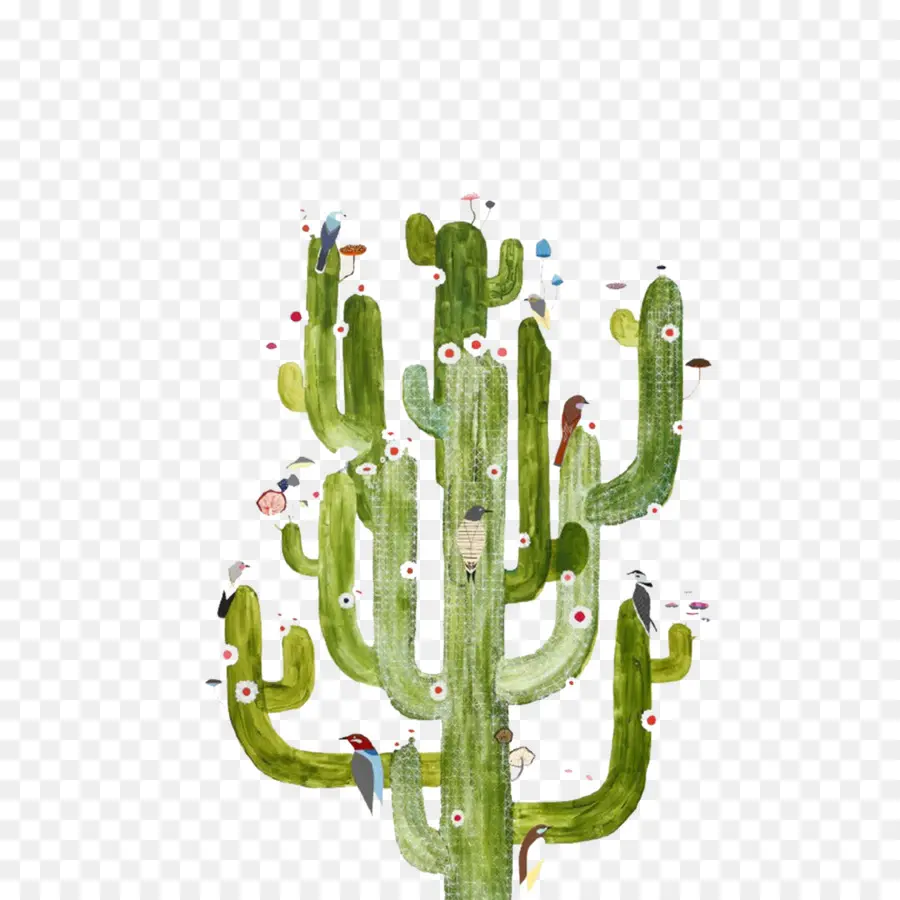 Cactus Con Aves，Cactus PNG