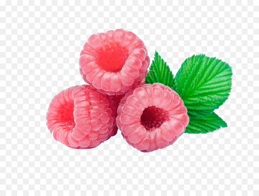 Frambuesas，Rosa PNG