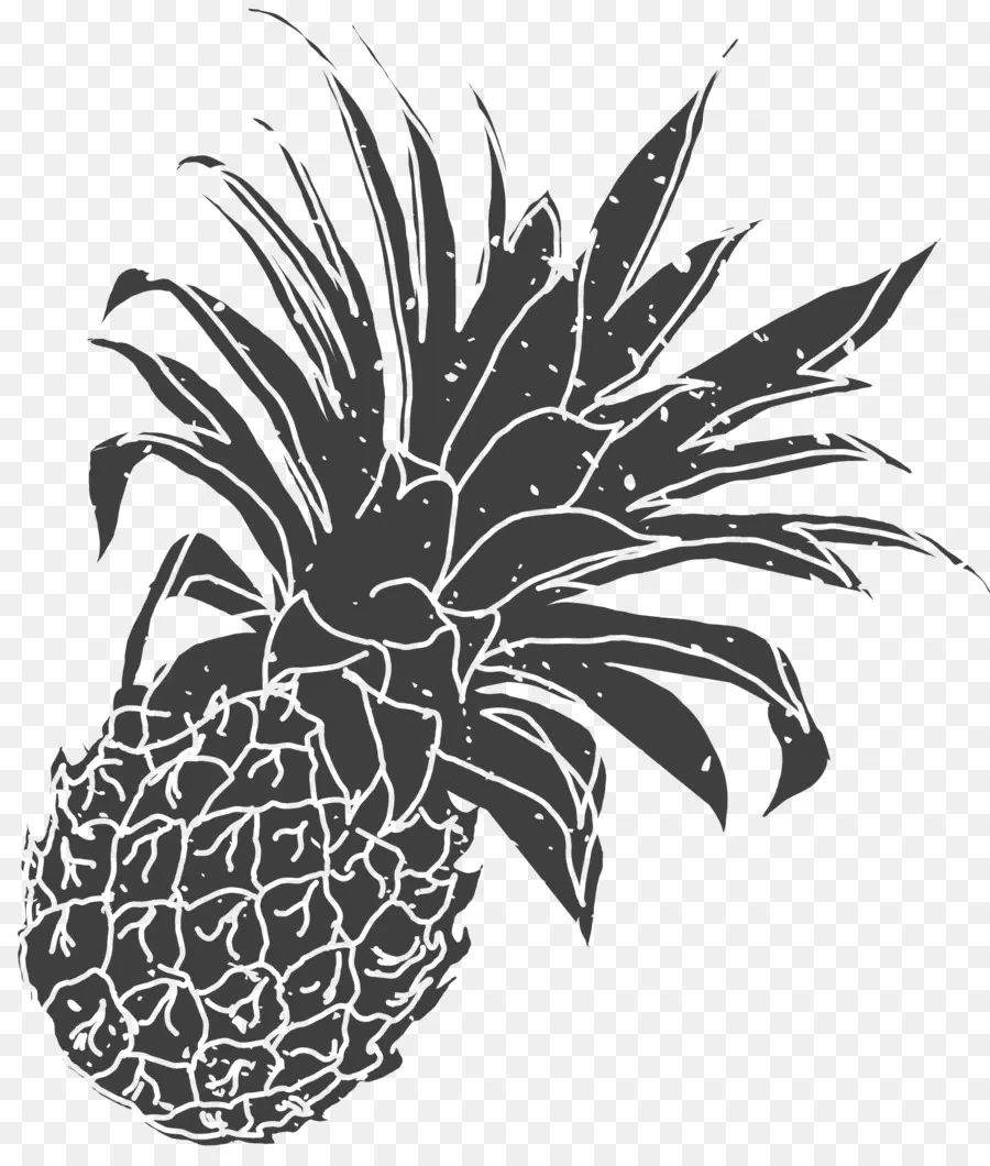 Piña，La Fruta PNG