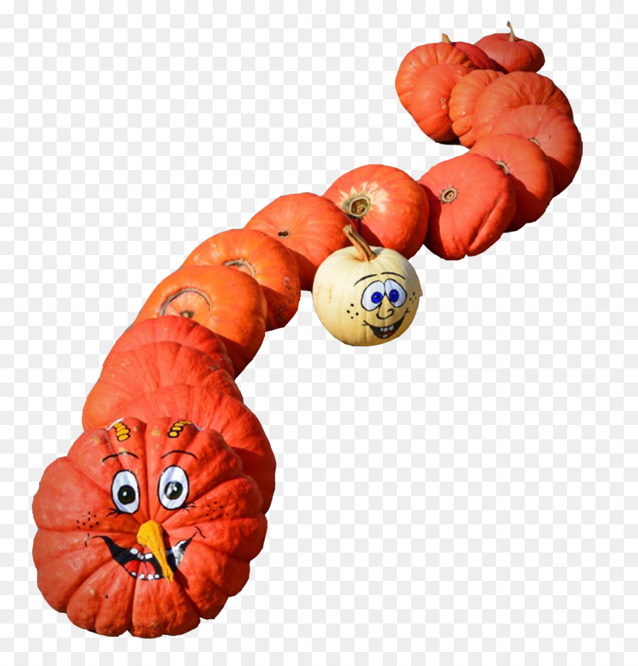 La Serpiente，Calabaza De Invierno PNG