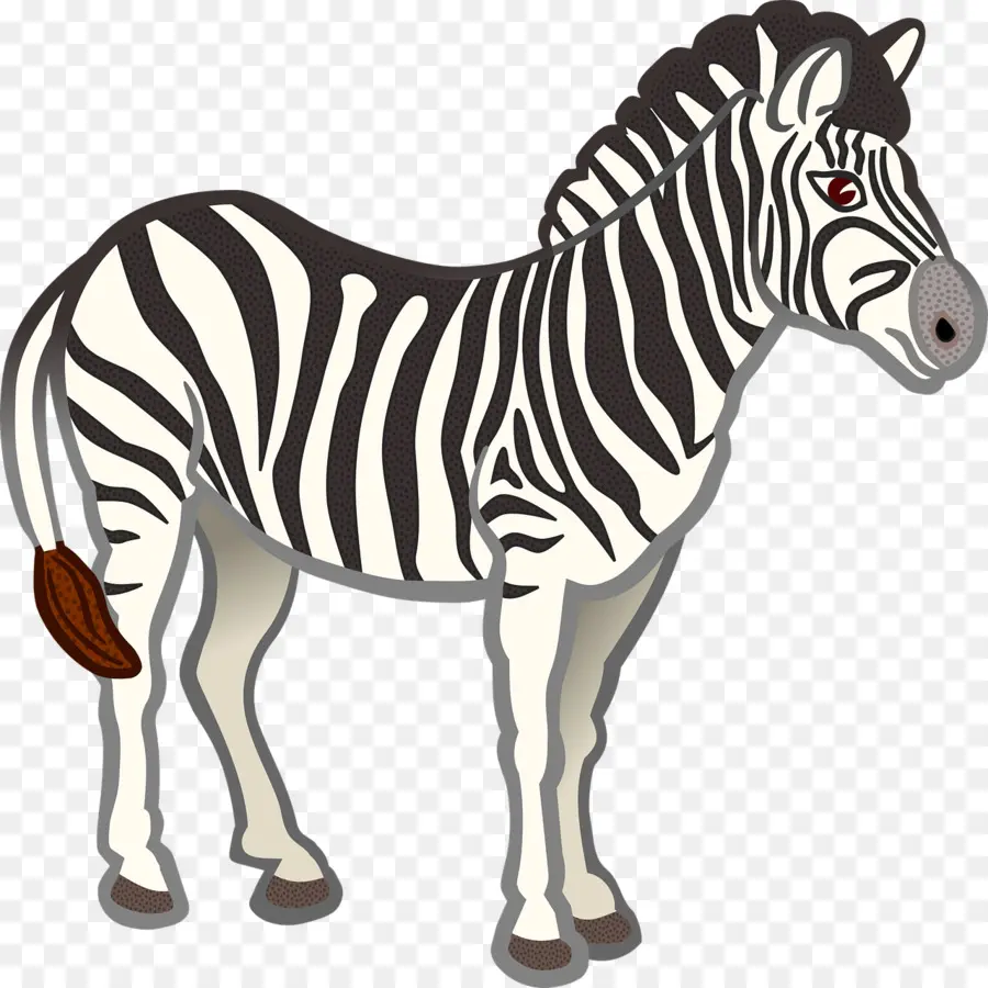 Zebra，La Lindura PNG