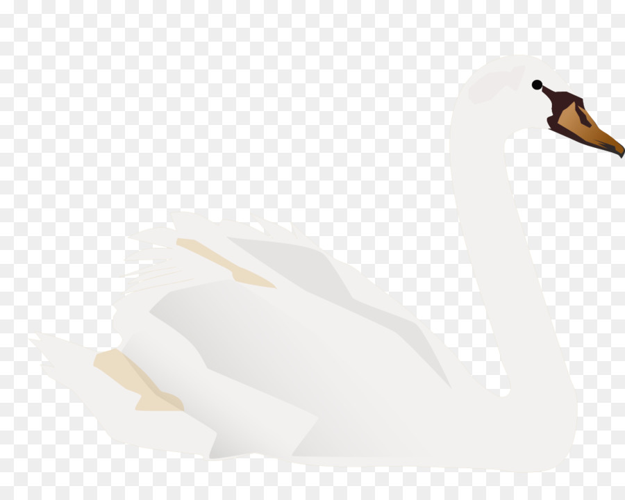 Pato，Cygnini PNG