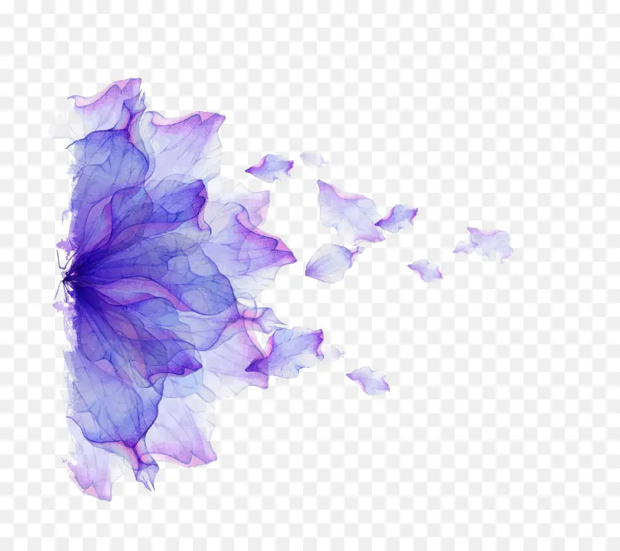 Portátil，Flor PNG