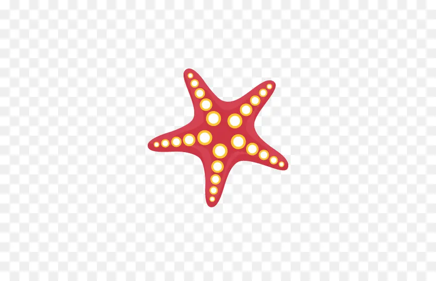 Estrella De Mar，Rojo PNG