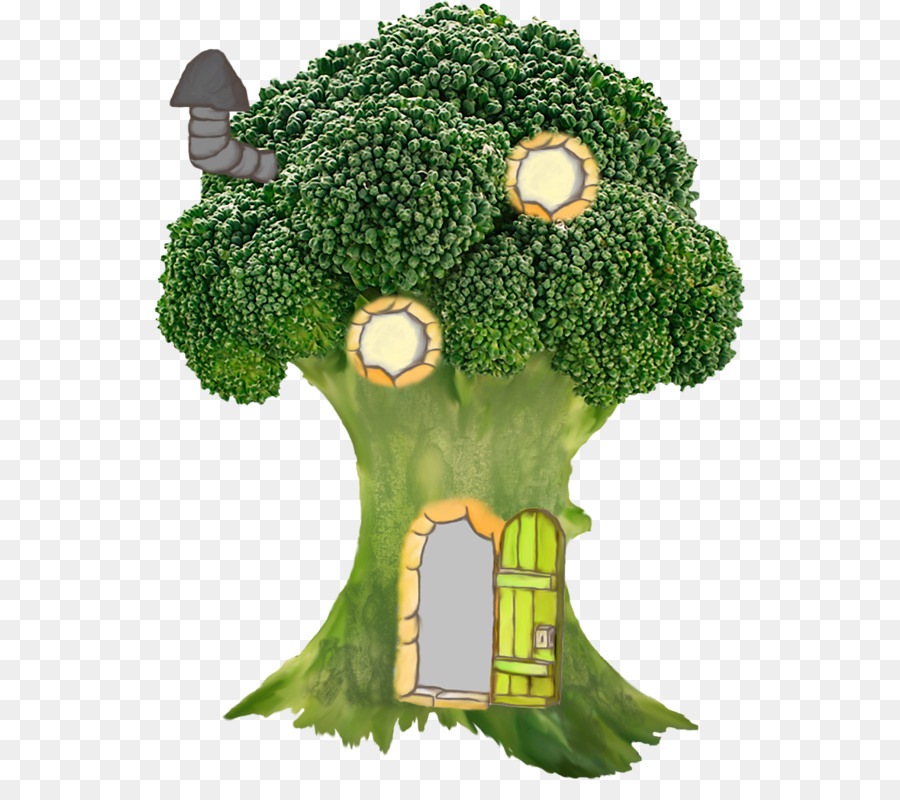 Brócoli，Vegetal PNG