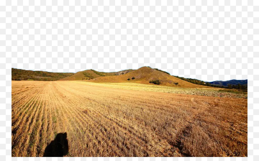 Campo，Sierras PNG