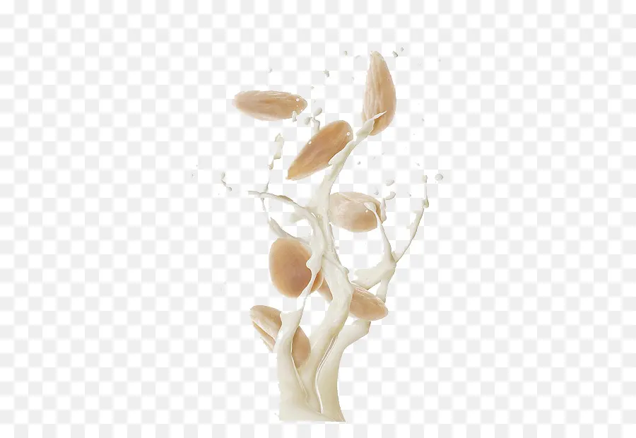 Almendras Y Leche，Cojones PNG