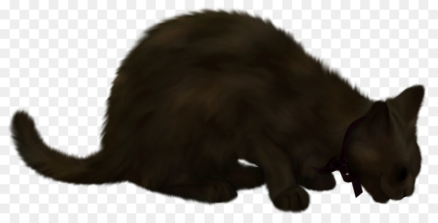 Gato Negro，Mascota PNG