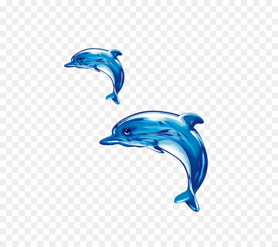 Delfines De Dibujos Animados，Marina PNG