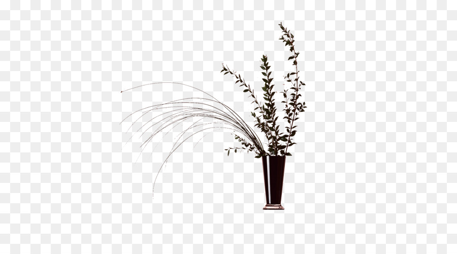 Planta En Florero，Hojas PNG