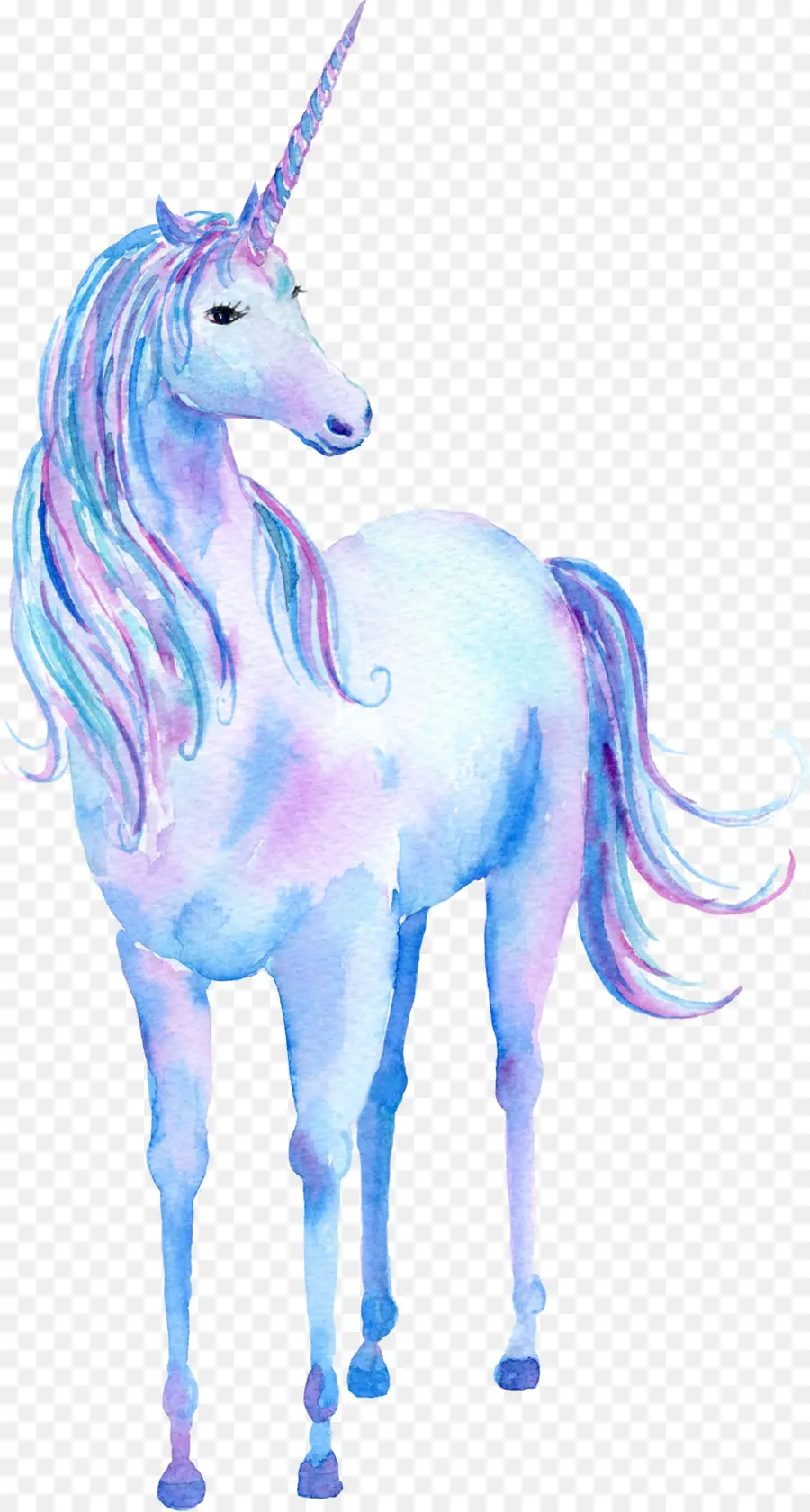 Unicornio，Pintura A La Acuarela PNG