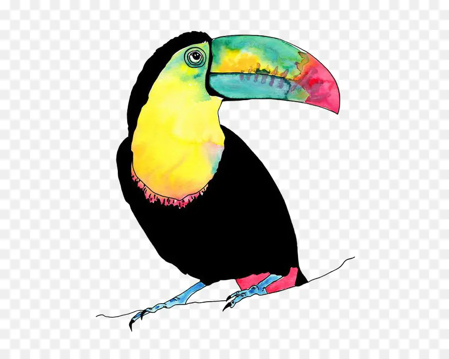 Pájaro，Parrot PNG