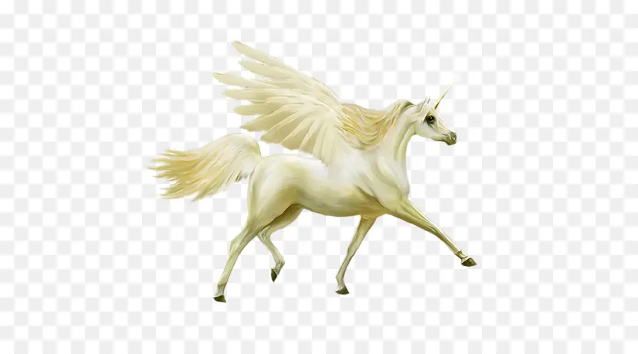 Howrse，Unicornio PNG