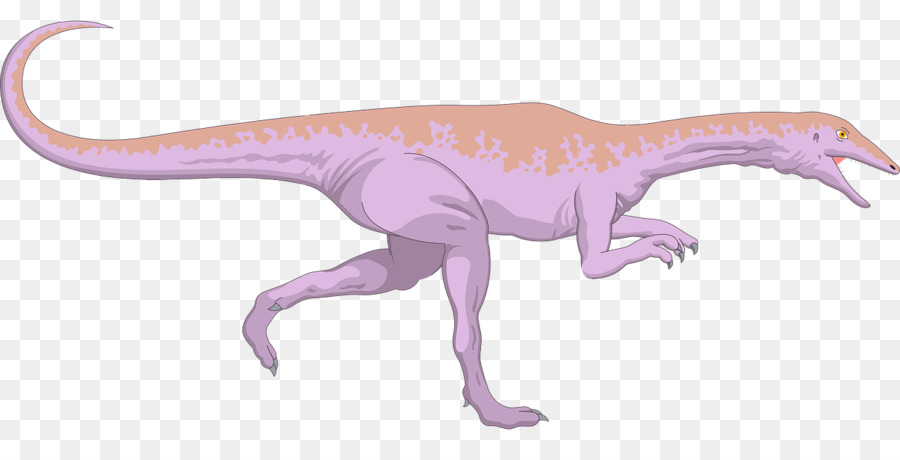 Velociraptor，Dinosaurio PNG