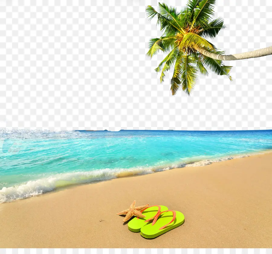 Vacaciones，Verano PNG