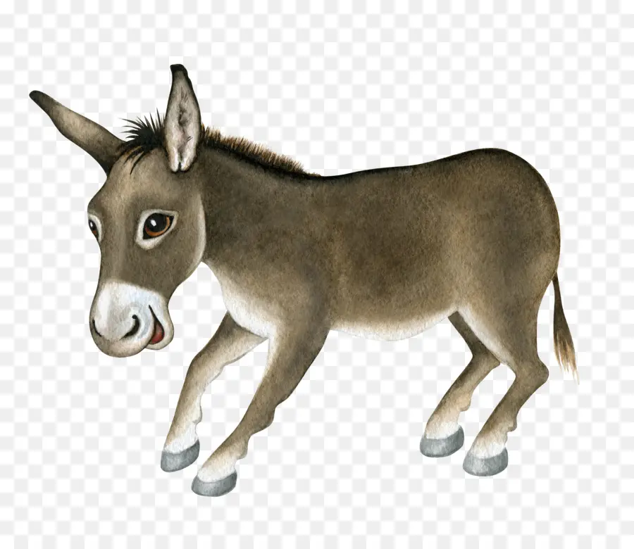 Dominick El Burro，Burro PNG