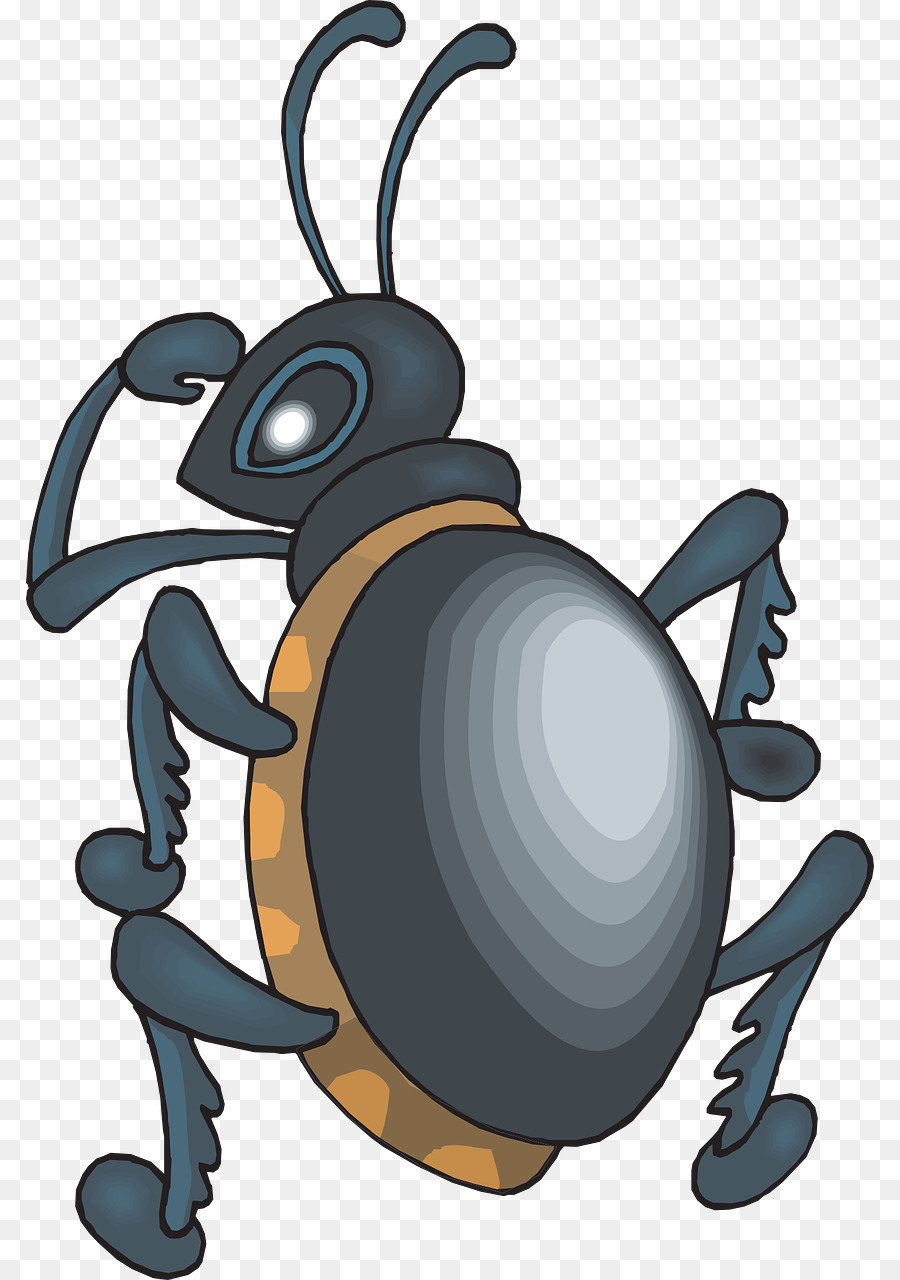 Escarabajo，Dibujos Animados PNG