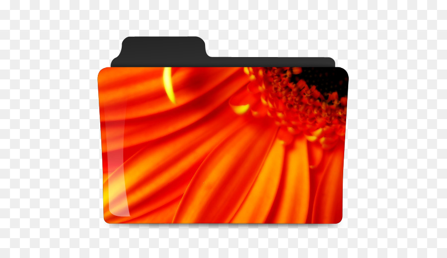 Flor，Pantalla Panorámica PNG