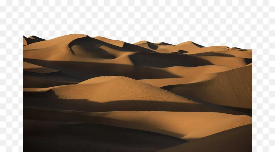 Sahara，Erg PNG