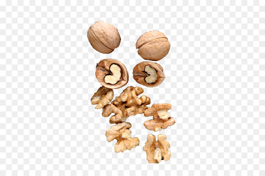 Nueces，Caparazón PNG