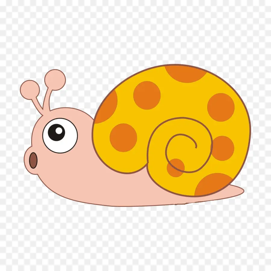 Caracol，Orthogastropoda PNG