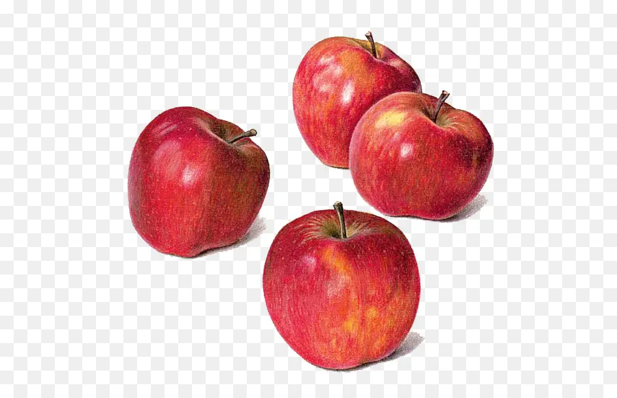 Dibujo，Apple PNG