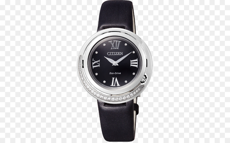 Reloj，Vigilancia Ciudadana PNG