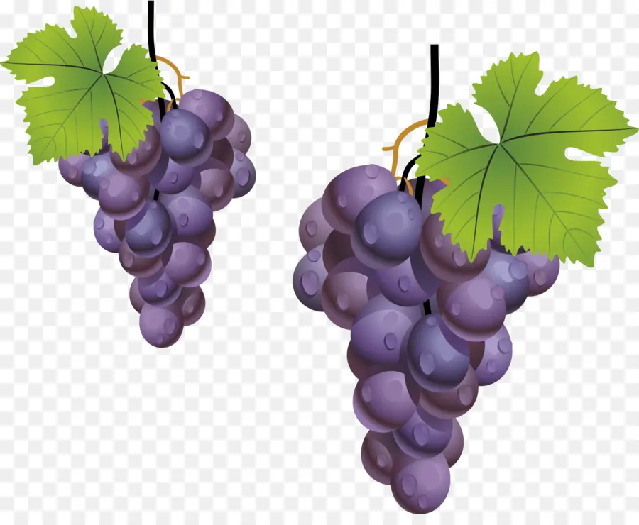 Uvas，Racimo PNG