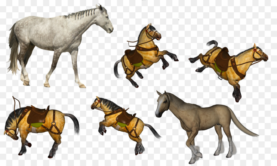 Unicornios，Caballos PNG