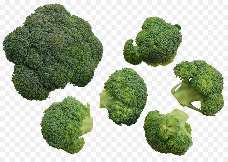 Brócoli，La Coliflor PNG