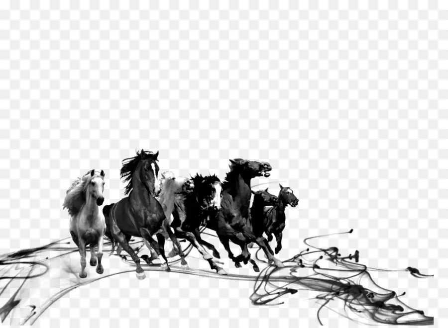 Caballos Corriendo，En Blanco Y Negro PNG