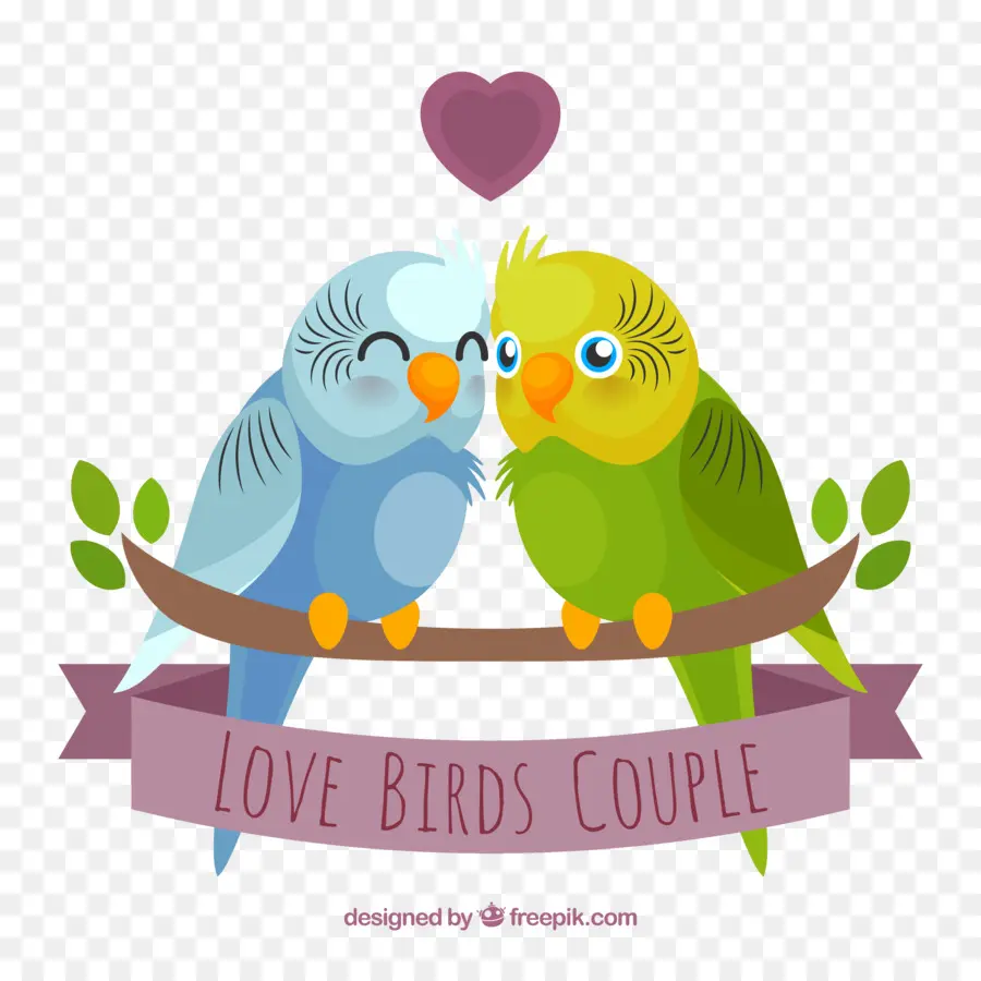 Pájaros Del Amor，Pareja PNG