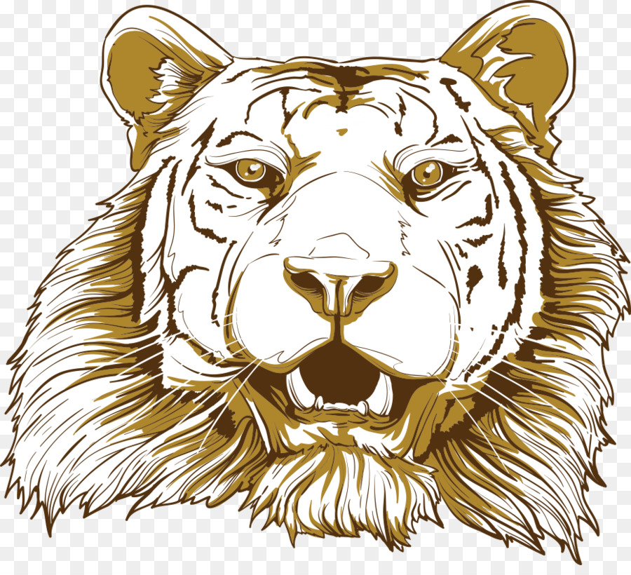 Tigre，Big Cat PNG