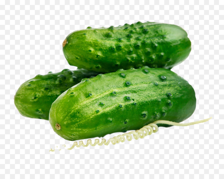 Pepino，La Semilla PNG