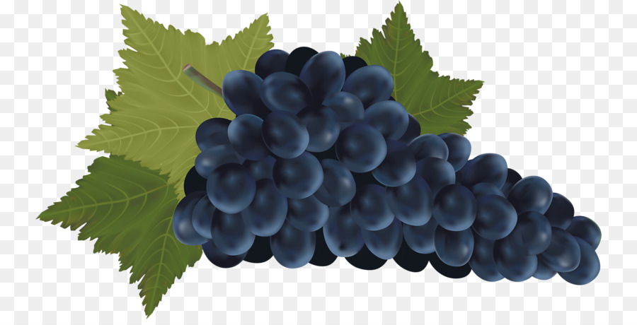 Vino Tinto，Vino PNG