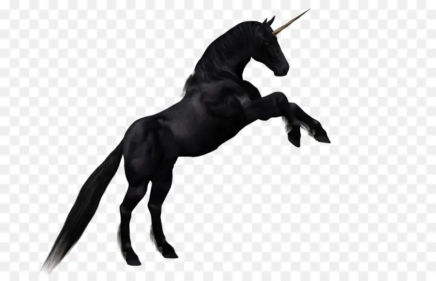 Caballo，Unicornio PNG