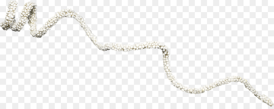 Collar De Perlas Blancas，Collar PNG