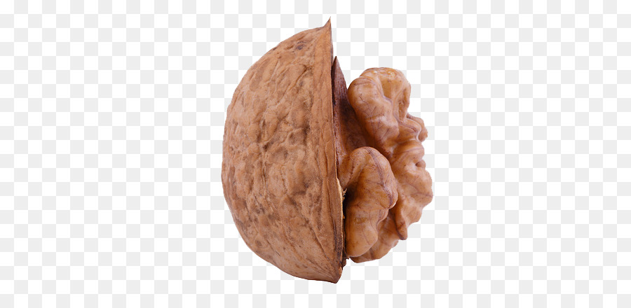 Walnut，English Walnut PNG